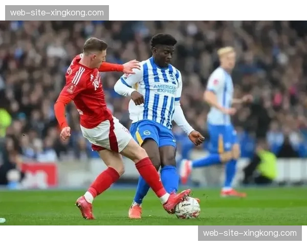 巴莱巴转会传闻影响状态 布莱顿中场身价从1亿镑暴跌